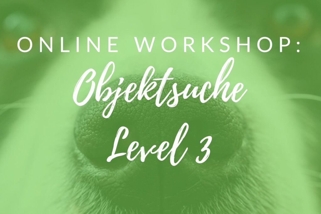 Objektsuche online Workshop