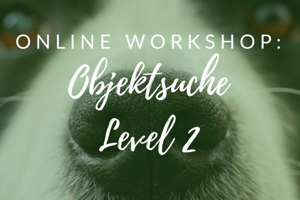 Objektsuche online Workshop